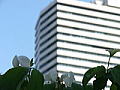 入院・退院